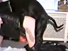 K9 porn of a black dog slapping a gorgeous woman's enormous ass